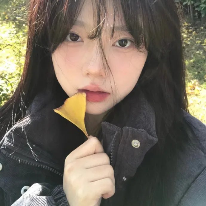 来自纽约的女孩